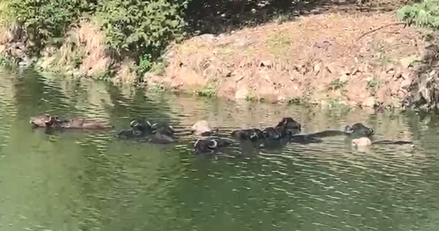 foto Not&iacute;cia Mococa